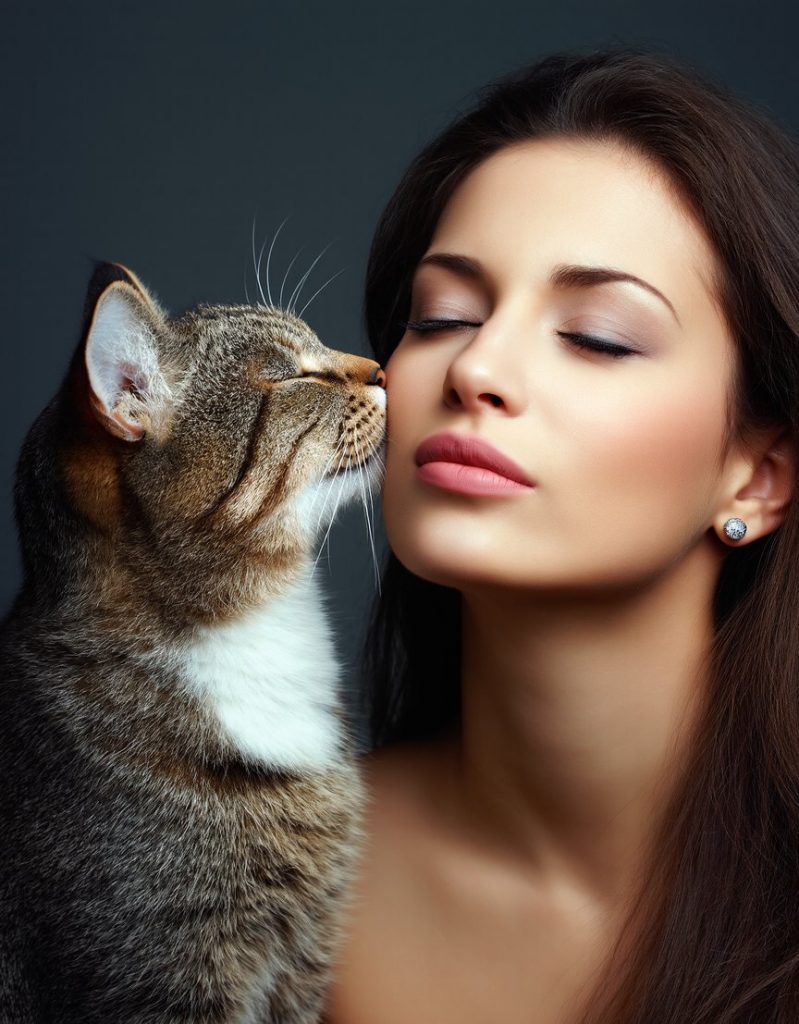 Chat qui embrasse une femme